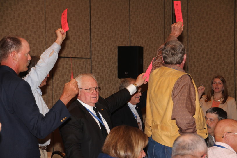 Oklahoma Beef Producer Leads Charge to Disapprove the Cattlemens Beef Board Excutive Committee to Call for Separation of the Federation of State Beef Councils from NCBA