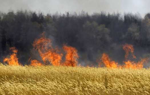 USDA Says Global Wheat Stocks Are Being Sharply Reduced Due to Extreme Drought in Europe