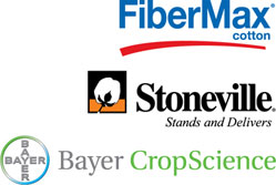 Fibermax and Stoneville Claim Half of the US Cotton Acres in 2010