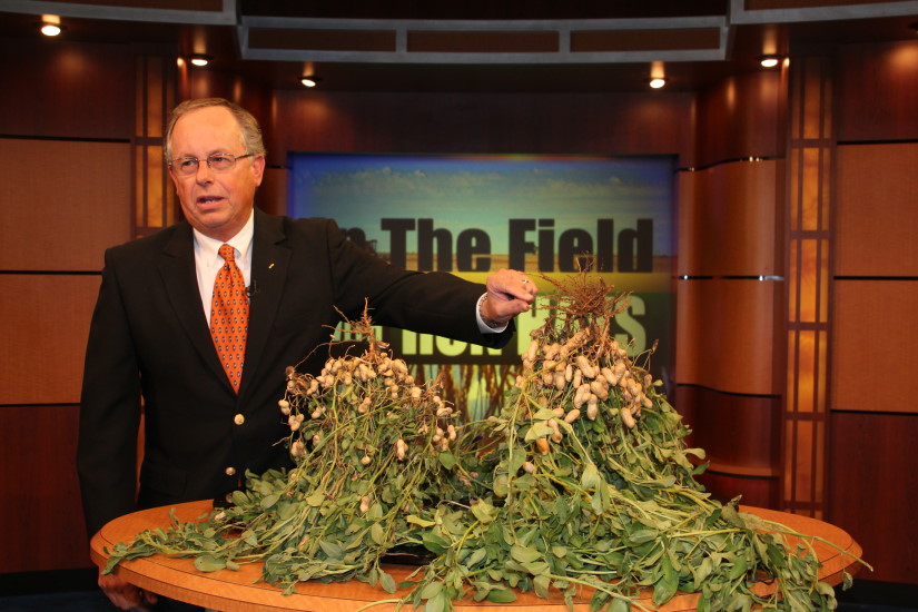 Peanut Harvest Ready to Start- Mike Kubicek Says It Could Be REALLY Good.