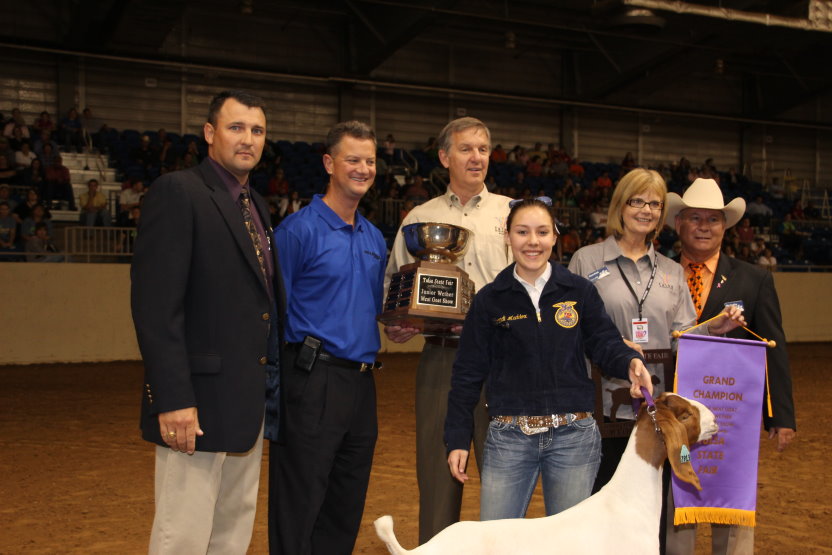 Brandi Maddox of Hennessey FFA Shows Top Meat Goat at Tulsa State Fair Junior Livestock Show