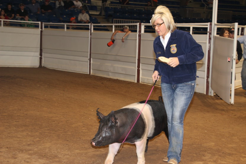 Carli Newby of Lindsay FFA Shows Top Market Hog at Tulsa State Fair Junior Livestock Show