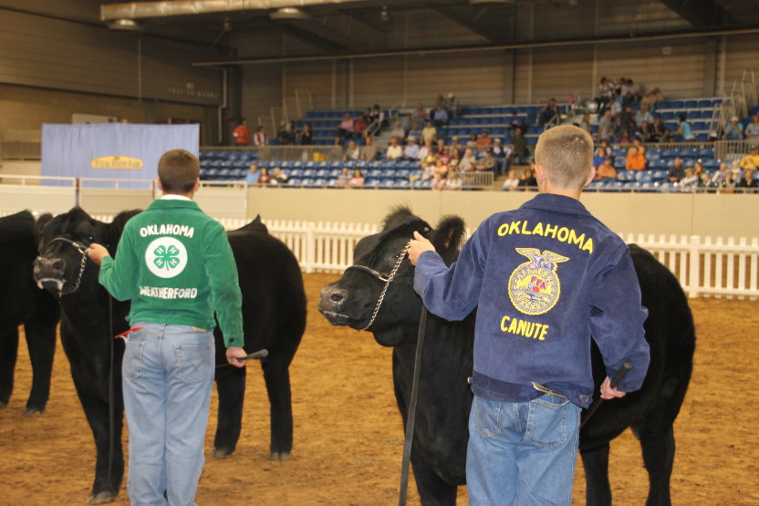 Grand Champion Steer Commands $38,000 at the 2010 Tulsa State Fair Premium Sale of Top Market Animals