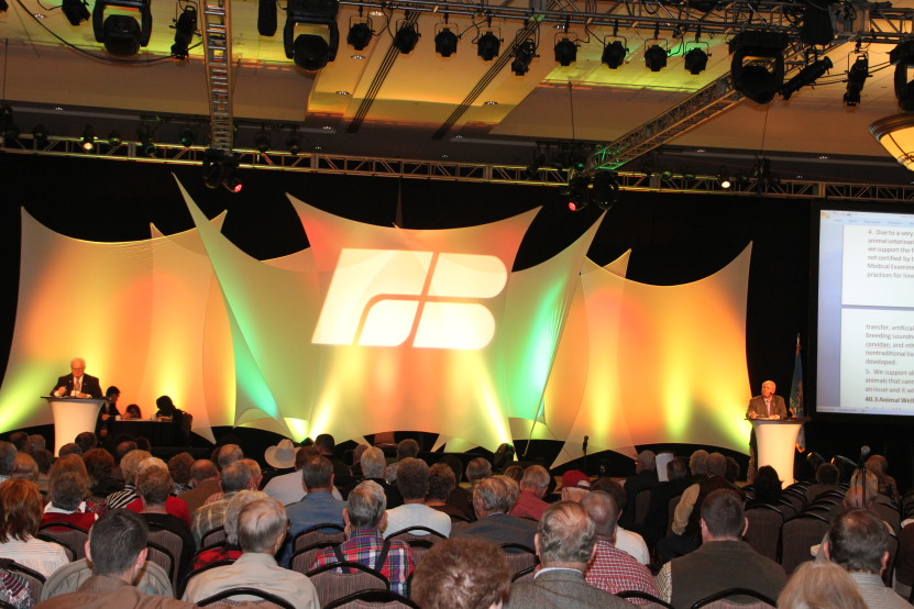 Oklahoma Farm Bureau DelegatesSet Farm Safety Net Policy at 2010 Convention