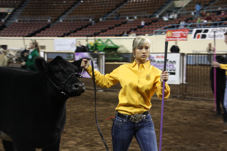 Oklahoma Youth Expo Ready for an Eleven Day Run March 11-21