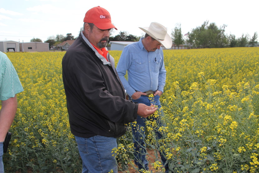 CanolaTV- Talking with Mark Boyles About the Evolution of Canola Production in Oklahoma