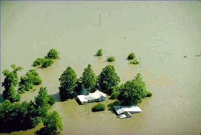 Farm Bureau Says Millions of Acres Underwater This Spring Due to MIssissippi River Flooding
