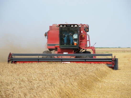 Wheat Harvest Trying to Move Forward in Southwestern Quarter of State