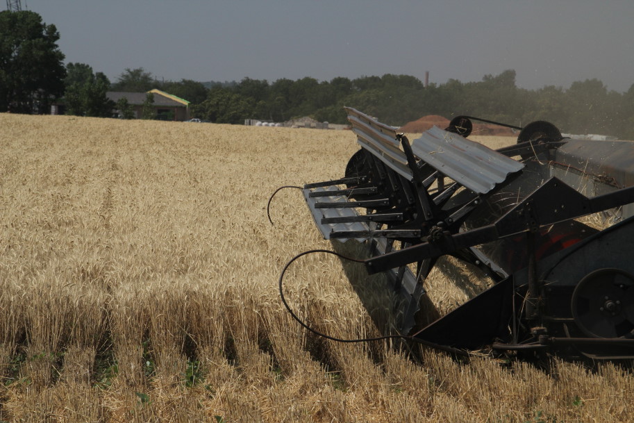 Wheat Harvest Progress- Oklahoma-98%, Texas- 85% and Kansas 49% Done