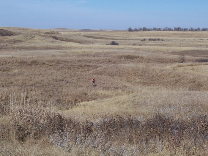 Primary Nesting Season Trumped by Drought Conditions in CRP Grazing Decision