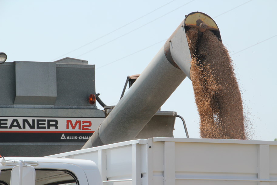 Oklahoma Wheat Harvest Blows Past the Half Done Mark as Hot Dry Conditions Prevail