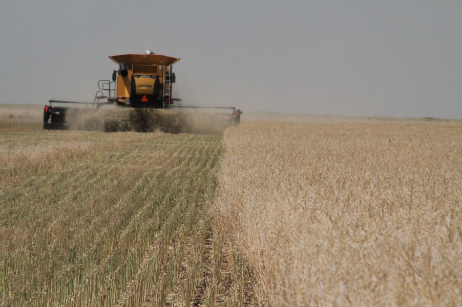 2011 Canola Harvest Season in the Books- and Jeff Scott Calls it Another Home Run