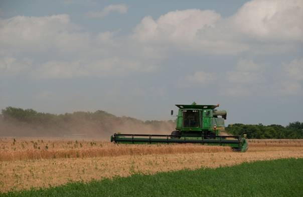 Strong Demand for Wheat Pushes Overall Value of 2011 Oklahoma Wheat Crop Close to 2010 Value