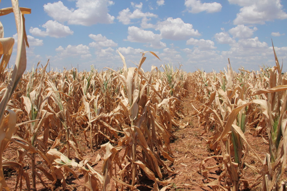 Oklahoma Spring Planted Crops Hammered By Exceptional Summer Drought of 2011