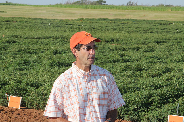 Disease Has Little Effect on Peanut Crop this Year