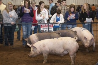 Gatlin Squires of Kingfisher Takes Top Spot in State Fair of Oklahoma Livestock Judging