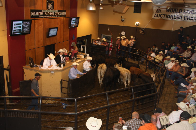 Winner of 2012 World Livestock Auctioneer Championship Preparing for Next Summer