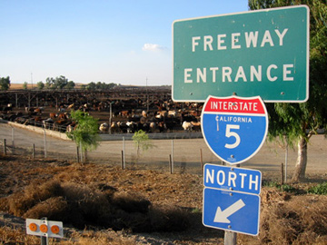 Updated With New Video- Terrorists Attack Harris Ranch in California- Destroy Fleet of Trucks- No Injuries to People or Cattle