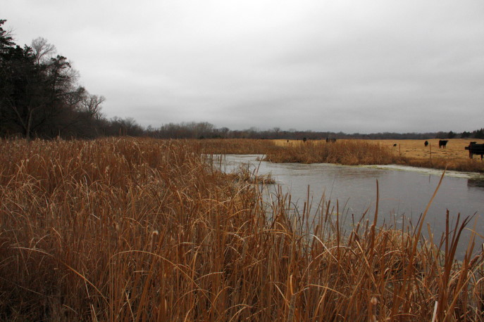 Wetlands Reserve Enhancement Program Funding Announced