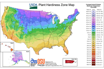 New USDA Hardiness Zone Map Reflects Changes