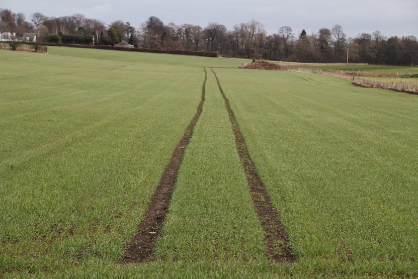 Ag Tramlines- Could They Be Useful in the Southern Plains?