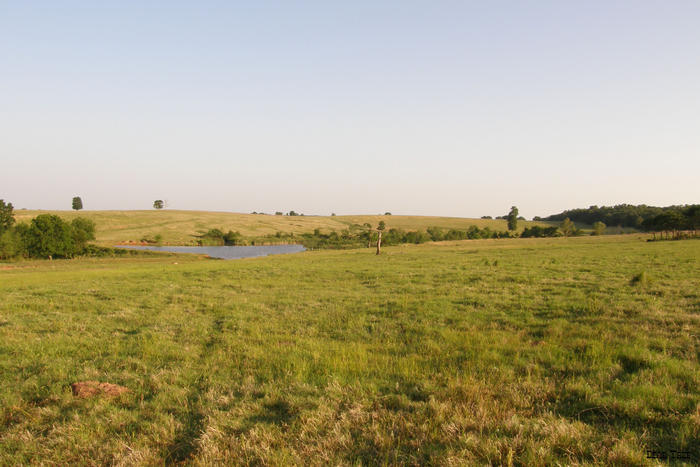 Fertilization as a Tool for Post-Drought Pasture Recovery