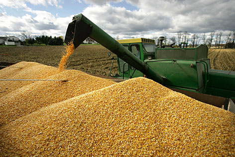 Report Finds Corn Yield Growth Slowing 