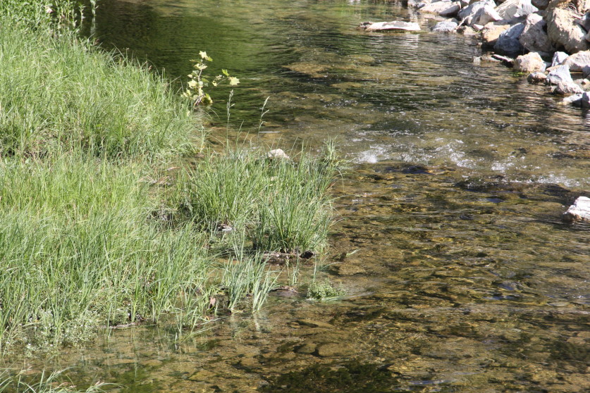 New Publication Assesses Health of Streams in Agricultural Areas