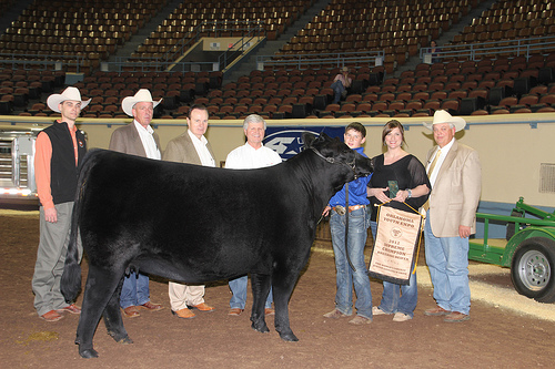 Angus Heifer of Kolby Sheppard from Perkins Tryon Claims Supreme Champion Honors at 2012 OYE
