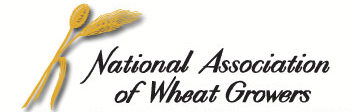 Oklahoman Joins National Wheat Foundation Board Seated at Commodity Classic 