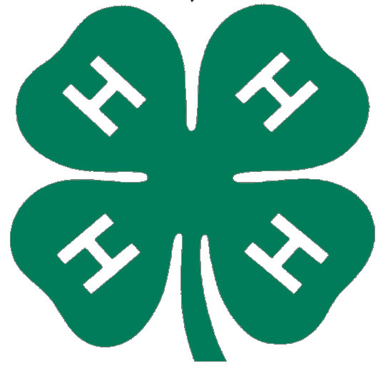 4-H Members Explore Issues Affecting Youth at the 2012 National 4-H Conference