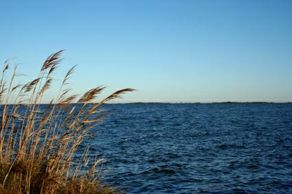 National Association of Conservation Districts Supports Improved Health of Chesapeake Bay 