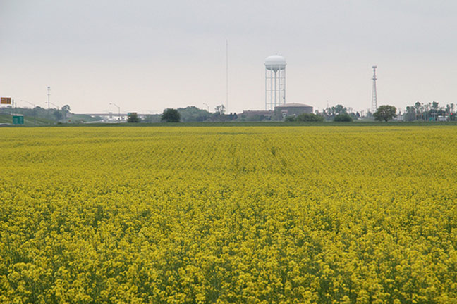 Public Canola Tour Field Day Features Seminars for Producers and Prospective Producers