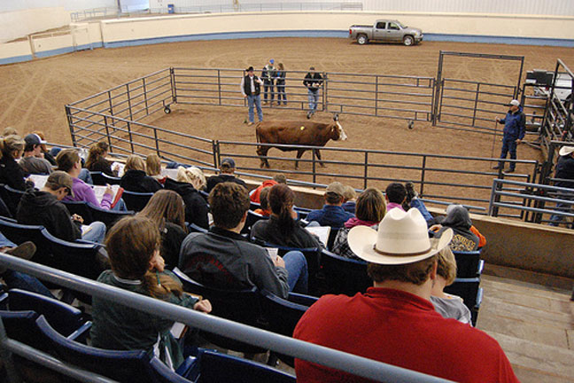 AFR Sponsors Livestock Judging Contest at Redlands Interscholastic Contest