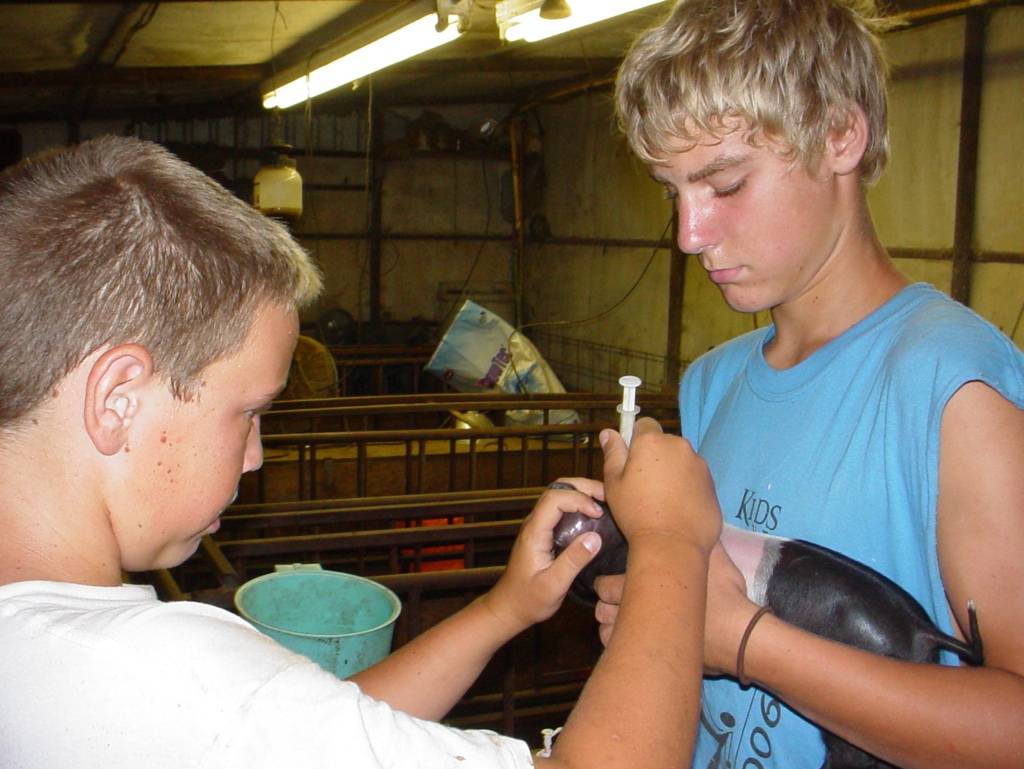 Obama Department of Labor Gives Up Drive to Regulate Youth Workers in Agriculture