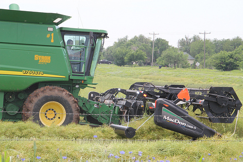 Canola Harvest Has Begun- Swathing Underway of the 2012 Crop