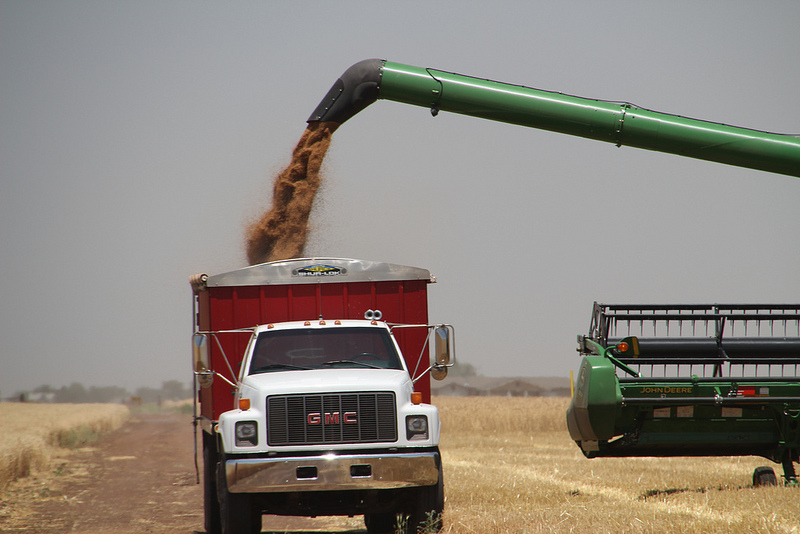 Oklahoma Wheat Harvest Two Thirds Complete- Plains Grains