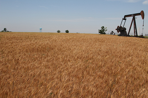 Frederick Elevator Reports First Bushel Cut in 2012 Wheat Harvest