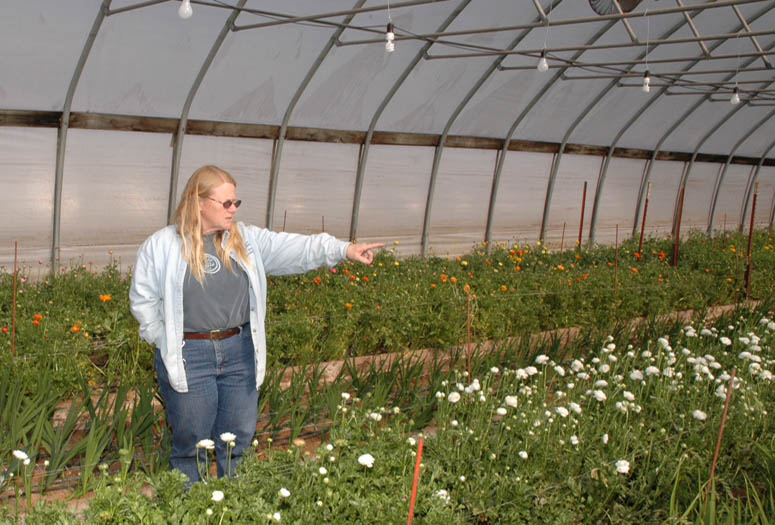 ONLA Greenhouse Production Short Course Slated For June 20-21