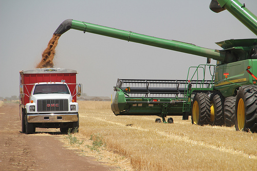 Wheatwatch 2012:  Harvest Running on All Four Cylinders All Over the State 