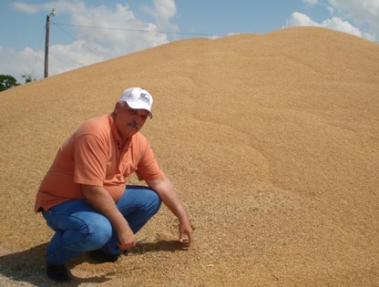 As Wheat Harvest Winds Down, Crop Quality and Marketing Now Take Center Stage
