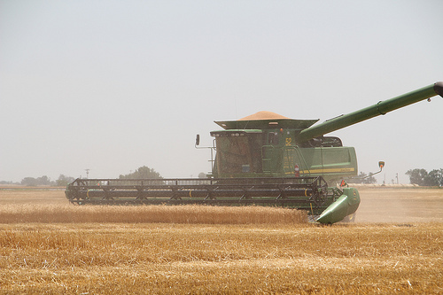 Wheatwatch 2012:  Spotty Rains Slow Harvest, But Combines Out and Running