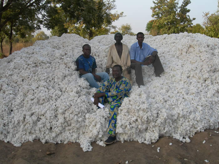 Cooperation Reinforced Between U.S., West and Central African Cotton Industries 