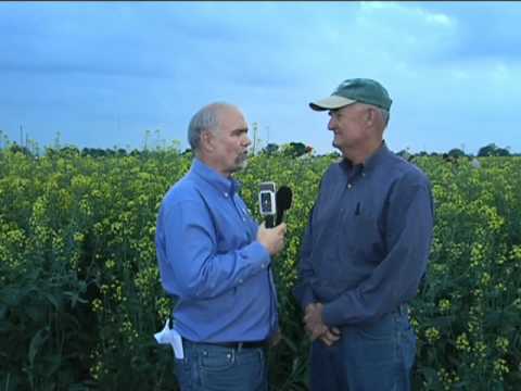 Canola TV--Oilseed Commission's Value Grows Along With Canola Acres 