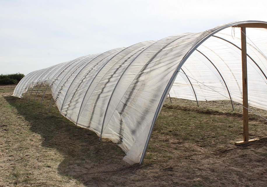 Modern Homesteading Workshop Featuring Hoophouse Construction Coming to Talihina
