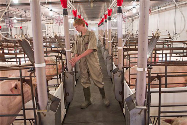 USDA to Gather Farm Labor Statistics in October