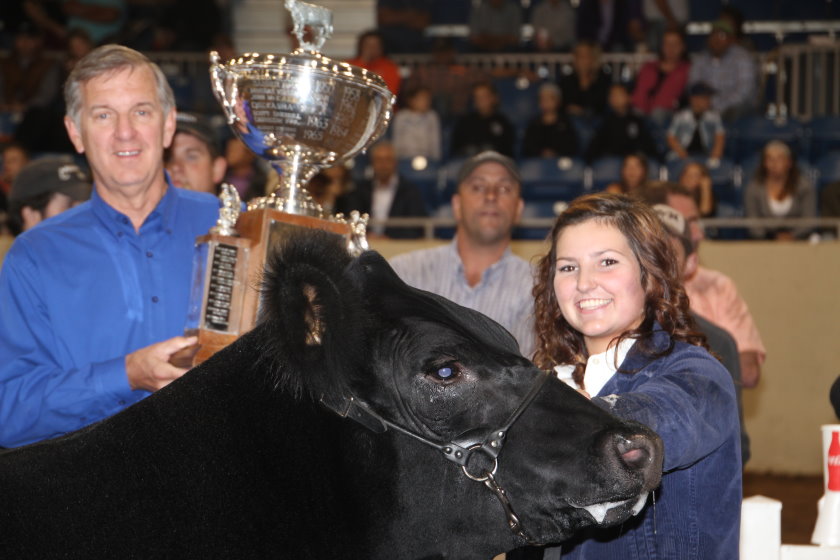 2012 Tulsa State Fair Grand Champion Steer Shown by McKenzie Strickland of Tecumseh FFA