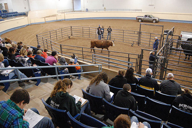 $1,500 Beef Industry Scholarships Available to Outstanding Students