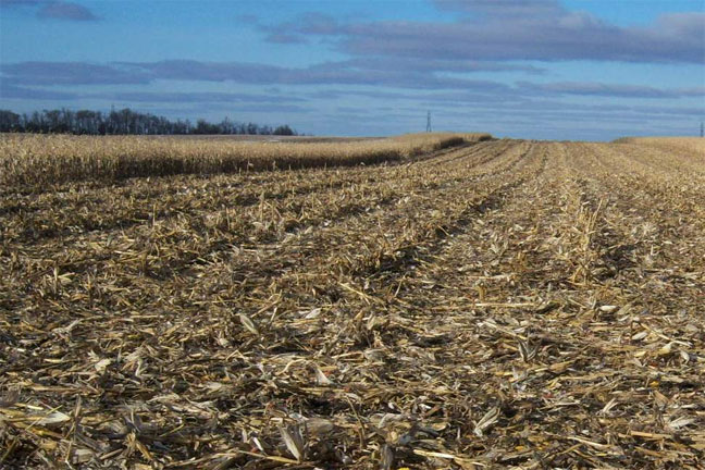 Partial Corn Stover Removal Reduces Management Challenges