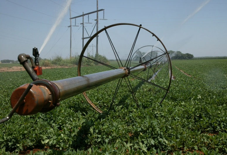 Global Irrigated Area at Record Levels, But Expansion Slowing